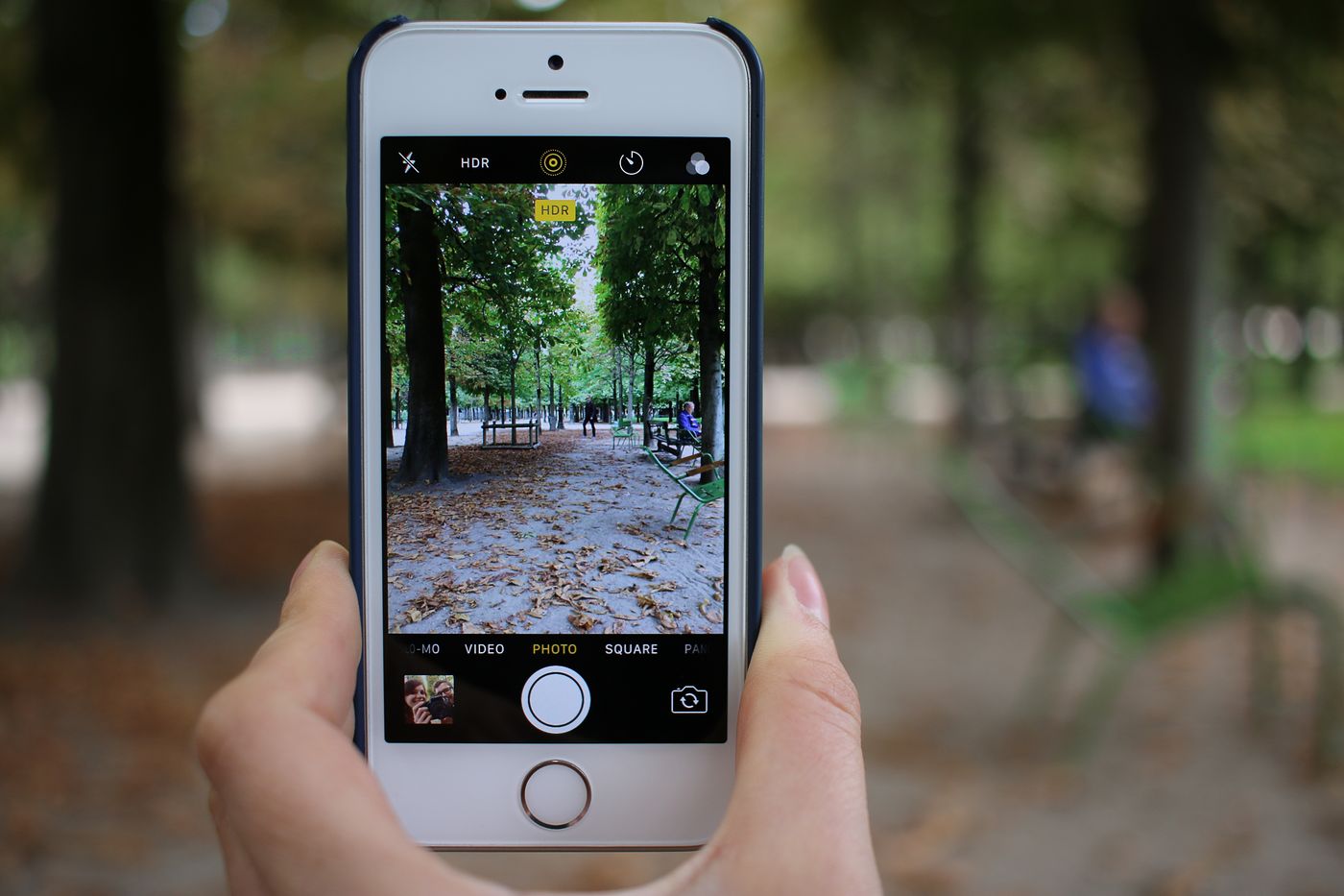 A hand holding a phone with the camera app open in a park